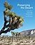 Preserving the Desert: A Hi...