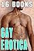 Gay Erotica: 16 Books