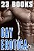EROTICA GAY: 23 Steamy Stories First Time Bundle Collection Box Set