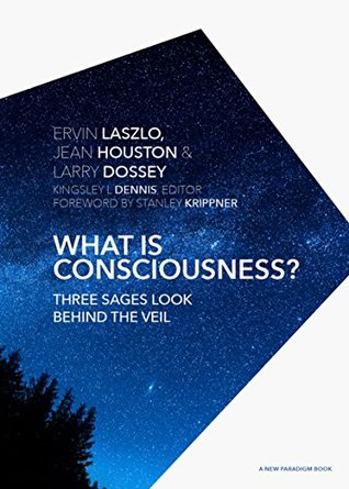 What is Consciousness?: Three Sages Look Behind the Veil (A New Paradigm Book)