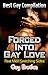 Forced Into Gay Love by Gay Erotica