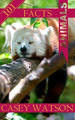 Zzzz (Kindle Edition)