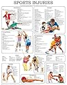 Sport injuries I - Quick Reference Chart: Full illustrated Sport injuries I - Quick Reference Chart: Full illustrated