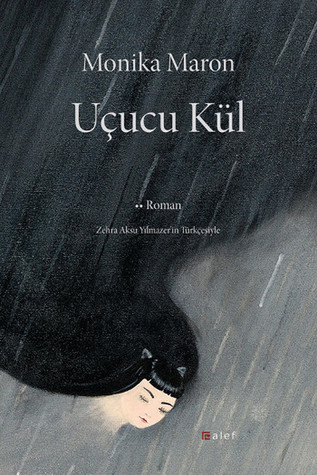 Uçucu Kül (Paperback)