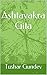 Ashtavakra Gita by Tushar Gundev