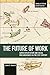 The Future of Work: Super-exploitation and Social Precariousness in the 21st Century (Studies in Critical Social Sciences)
