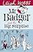Mr Badger and the Big Surprise