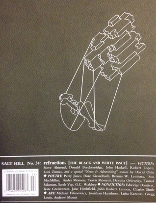 Salt Hill No. 24: refraction.