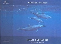 Brasil Submarino / Submarine Brazil