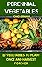 Perennial Vegetables: 20 Vegetables To Plant Once and Harvest Forever: (Gardening, Gardening Books, Botanical, Home Garden, Horticulture, Garden, Gardening, ... Perennial Vegetables, Vegetable Garden)
