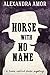 Horse With No Name (A Town Called Horse Mystery #2)