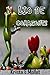 LIO DE CORAZONES (Libro completo) NUEVA EDICION (Spanish Edition)