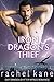 Iron Dragon's Thief