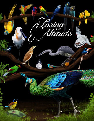 Losing Altitude: A Collaborative Art Book (Hardcover)