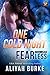 One Cold Night (ARe Fearless #3)