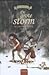 De grote storm