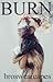 BURN (BURN trilogy, #1)