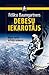 Debesu iekarotājs by Felix Baumgartner