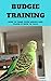 Budgie Taming and Training for Beginners