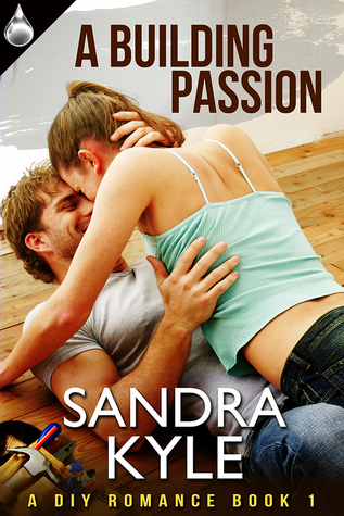 A Building Passion (A DIY Romance, #1)