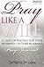 Pray Like A Wife: 31 Days of Praying for Your Husband / Future Husband
