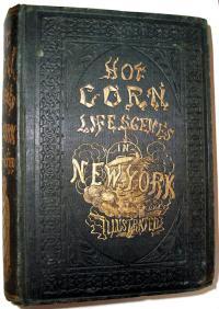 Hot Corn: Life Scenes in New York Illustrated. Including the Story of Little Katy, Madalina, the Rag-Pikcer's Daughter, Wild Maggie, Etc. with Original Designs, Engraved by N. Orr. by Solon Robinson.