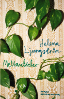 Mellantider