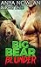 Big Bear Blunder (Sweetwater Brides, #3)