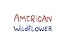 American Wildflower