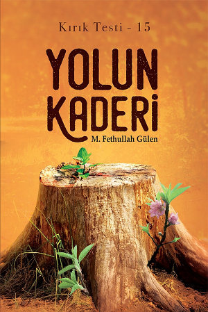 Yolun Kaderi: Kırık Testi – 15
