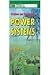 Problems And Solutions In Power Systems