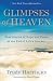 Glimpses of Heaven: True Stories of Hope and Peace at the End of Life's Journey