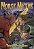 Twilight of the Gods: A Viking Graphic Novel (Norse Myths)