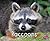 Raccoons (Woodland Wildlife)