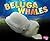 Beluga Whale