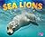 Sea Lion
