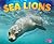 Sea Lion