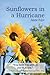 Sunflowers in a Hurricane by Anne M Faye