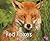Red Foxes (Woodland Wildlife)