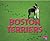 Boston Terriers (Pebble Plus: Tiny Dogs)