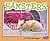 Hamsters: Questions and Answers