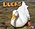 Ducks (Farm Animals)