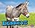 Donkeys (Farm Animals)