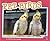Pet Birds: Questions and Answers