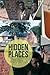 Hidden Places by James Heaton