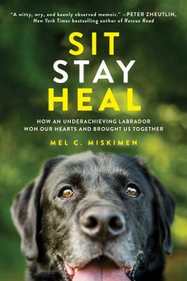 Sit Stay Heal: How an Underachieving Labrador Won Our Hearts and Brought Us Together (Paperback)