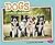 Dogs: Questions and Answers
