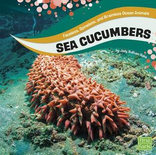 Sea Cucumbers (First Facts: Faceless, Spineless, and Brainless Ocean Animals)