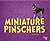 Miniature Pinschers (Tiny Dogs: Pebble Plus)