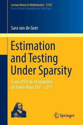 Estimation and Testing Under Sparsity: École d'Été de Probabilités de Saint-Flour XLV – 2015 (Paperback)